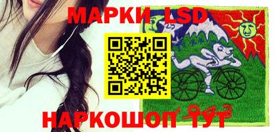 spice Рыбинск